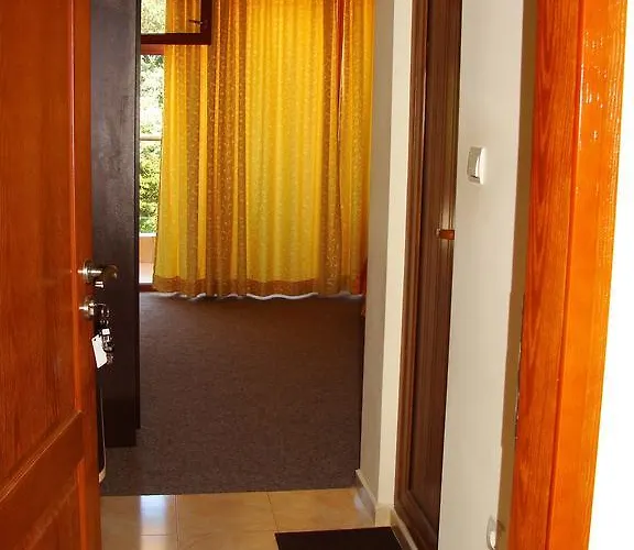 Sunny Paradise Family キテン