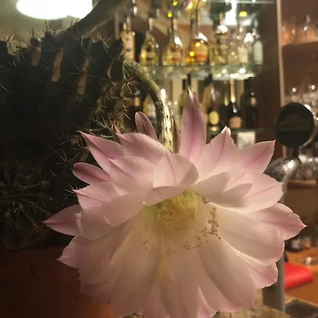 酒店 Sunny Paradise Family 希典