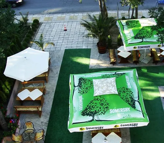 Sunny Paradise Family 키텐