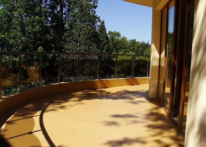 Sunny Paradise Family 3* 키텐