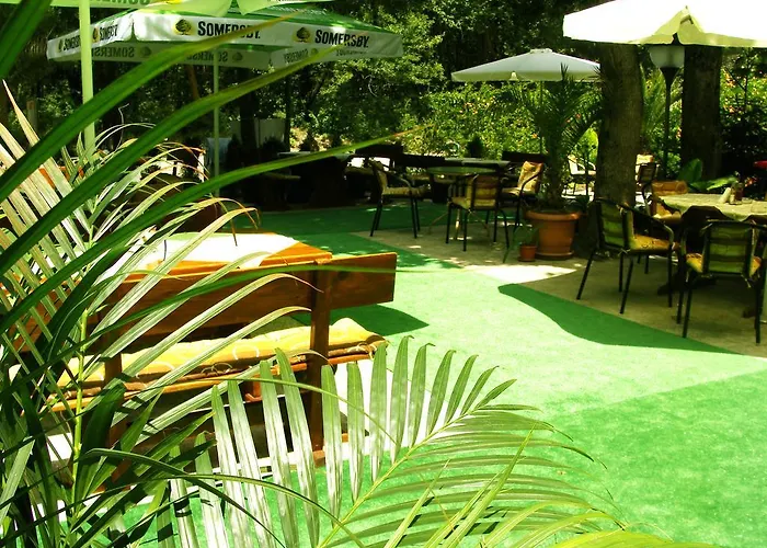 Sunny Paradise Family 키텐